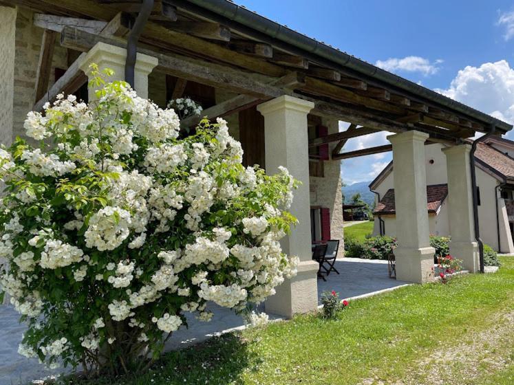 Fienile Chiaramada Apartment Belluno Exterior photo